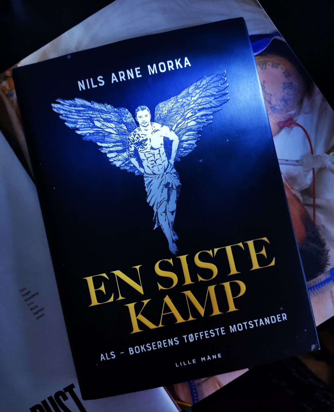 The Angel Illustration: En Siste Kamp (One Last Fight)