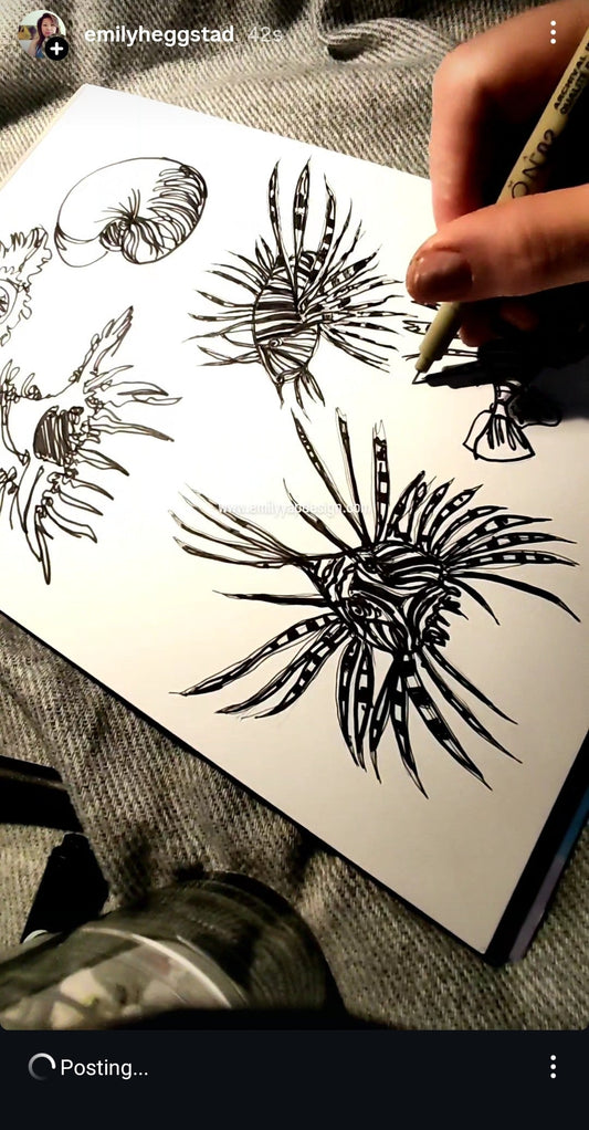 Desaru Whispers: Lionfish & Sea Shells – Sneak Preview