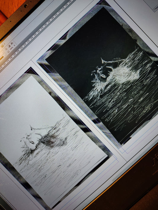 Graphite sketch of a half-face and raven feathers next to a dark inverted blueprint for the Somnia canvas art